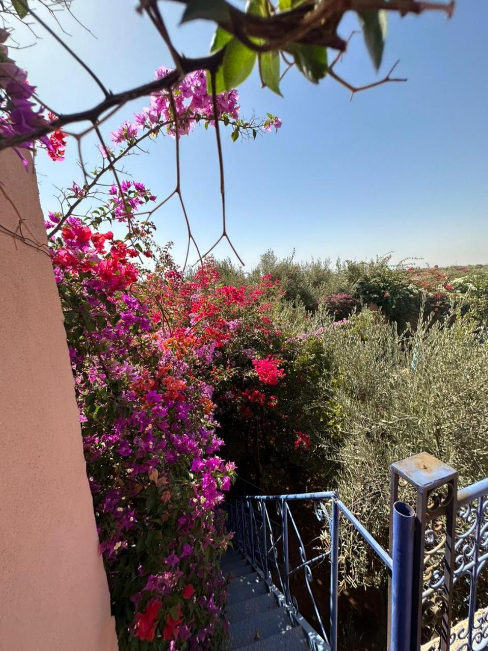 Villa Ms Holidays Mika Privatisee Marrakech Марракеш Экстерьер фото