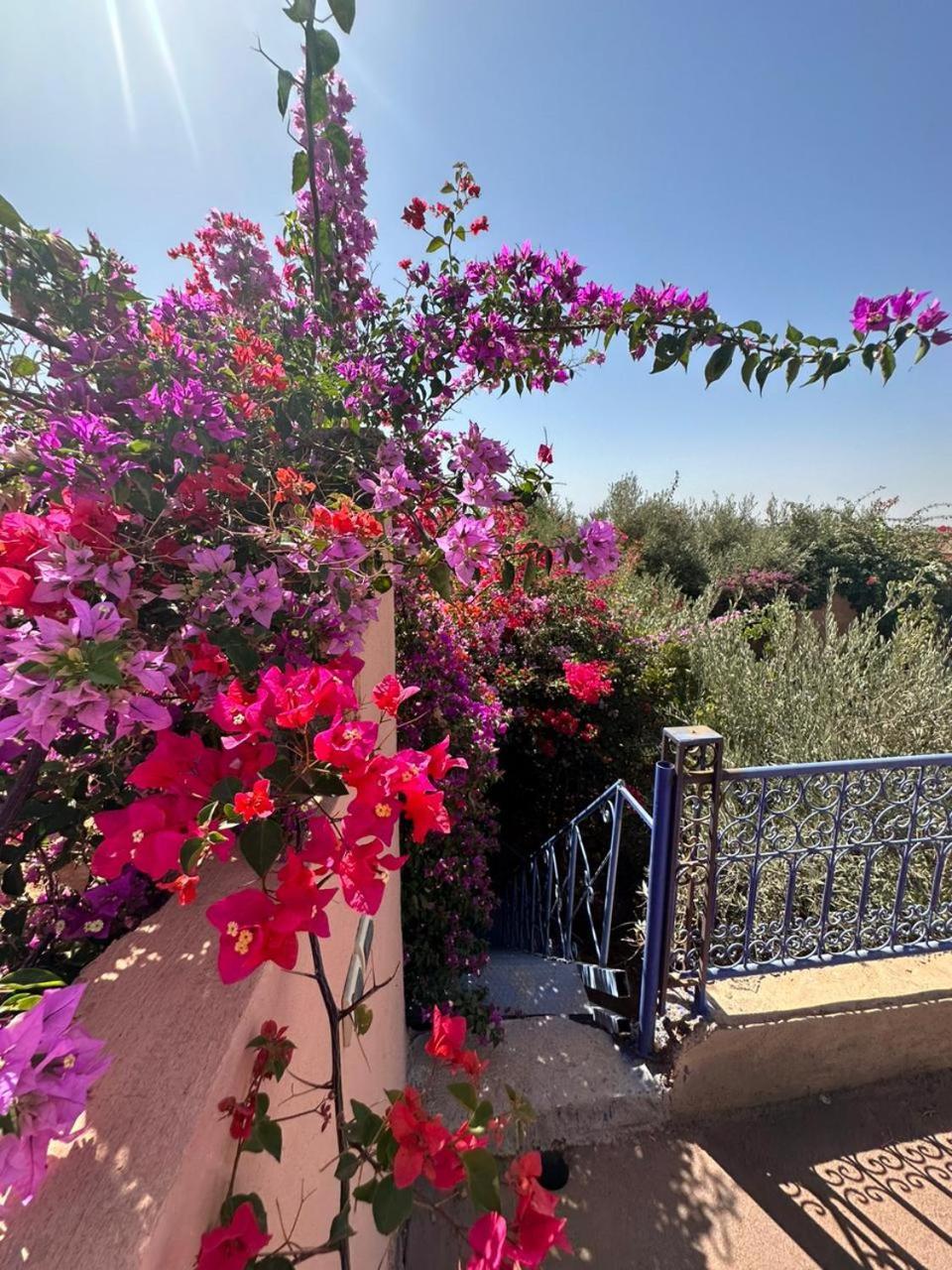 Villa Ms Holidays Mika Privatisee Marrakech Марракеш Экстерьер фото