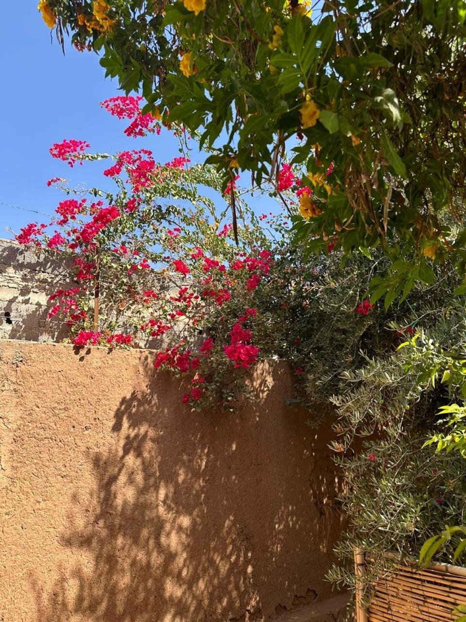 Villa Ms Holidays Mika Privatisee Marrakech Марракеш Экстерьер фото